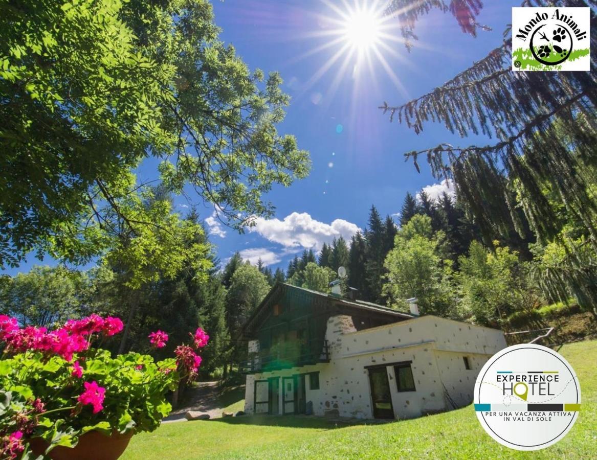 La Locanda Delle Pulci Bio Welness Mezzana  Luaran gambar