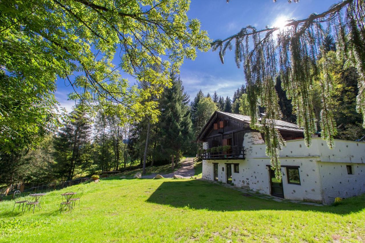 La Locanda Delle Pulci Bio Welness Mezzana  Luaran gambar